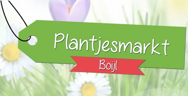 Plantjesmarkt in Boijl