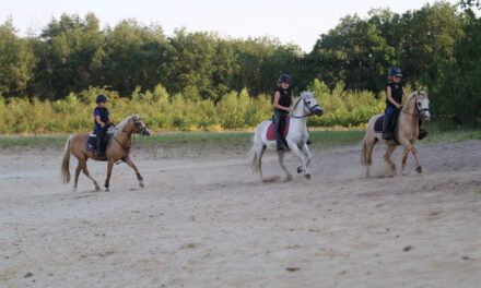 Paardensportvereniging De Drie Gemeenten